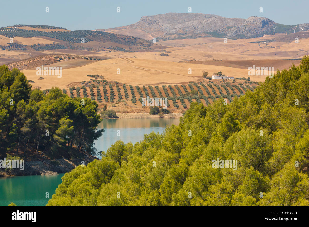Blick über Guadalhorce dam, Provinz Malaga, Spanien, Ackerland und Olive Grove darüber hinaus. Embalse de Conde de Guadalorce. Stockfoto