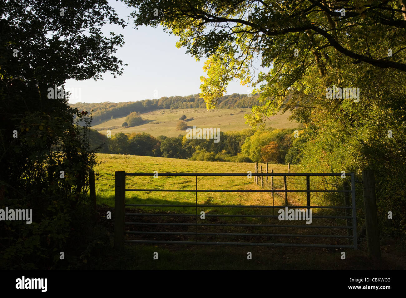 Ranmore Hügel mit Blick auf Dorking Stadt in Surrey im Herbst auf den North Downs einen Zaun mit Blick auf die Hügel Stockfoto