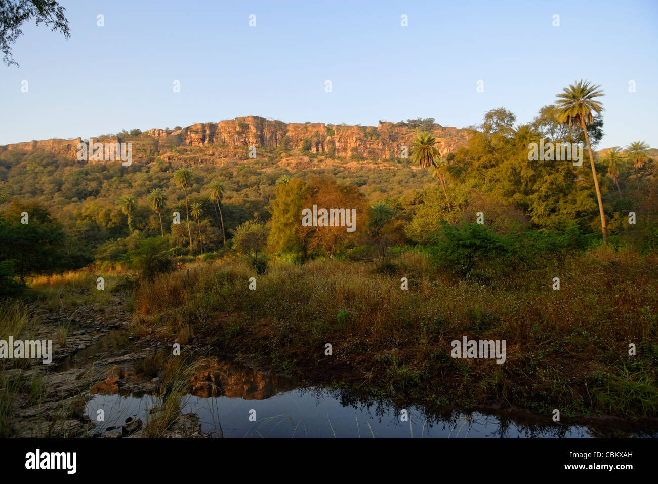 Ein Ranthambhore Fort Blick aus dem Inneren des Ranthambhore Tiger Reserve, Rajasthan Indien. Stockfoto