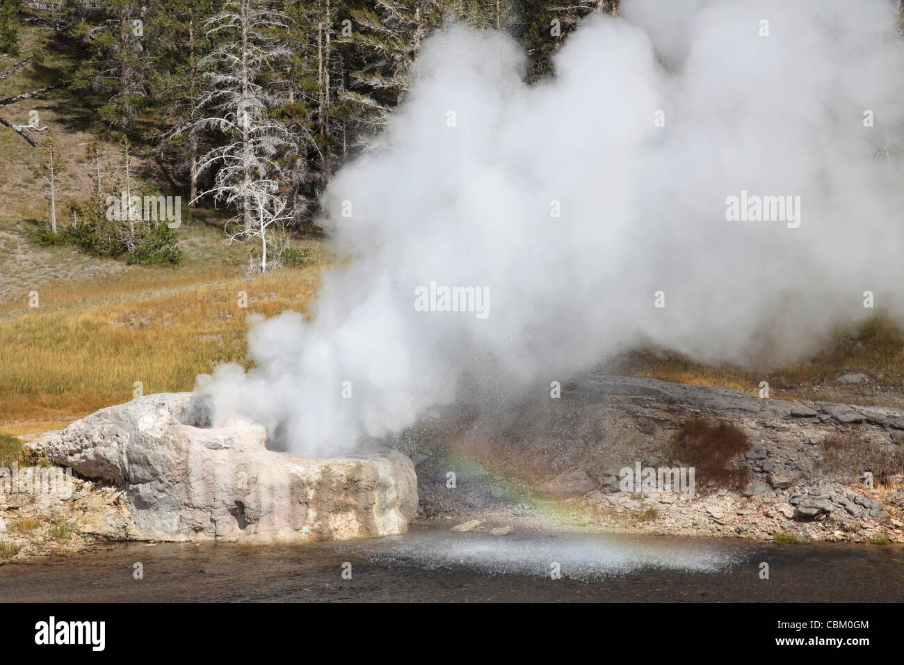 Riverside-Geysir Ausbruch mit Regenbogen, geothermische Gebiet Upper Geyser Basin, Yellowstone Caldera, Yellowstone National Park, Wyom Stockfoto