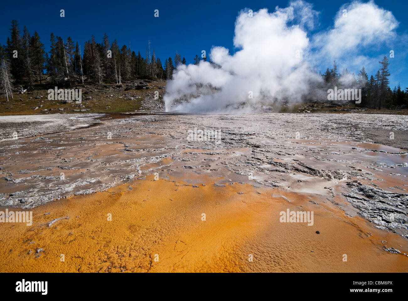 Grand/Turban Geysire Yellowstone National Park in Wyoming USA Stockfoto