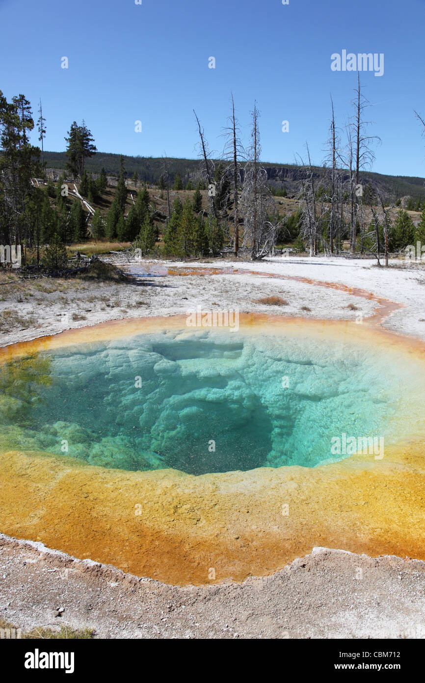 Morning Glory Pool Hot Spring, geothermische Gebiet Upper Geyser Basin, Yellowstone Caldera, Yellowstone-Nationalpark, Wyoming. Stockfoto