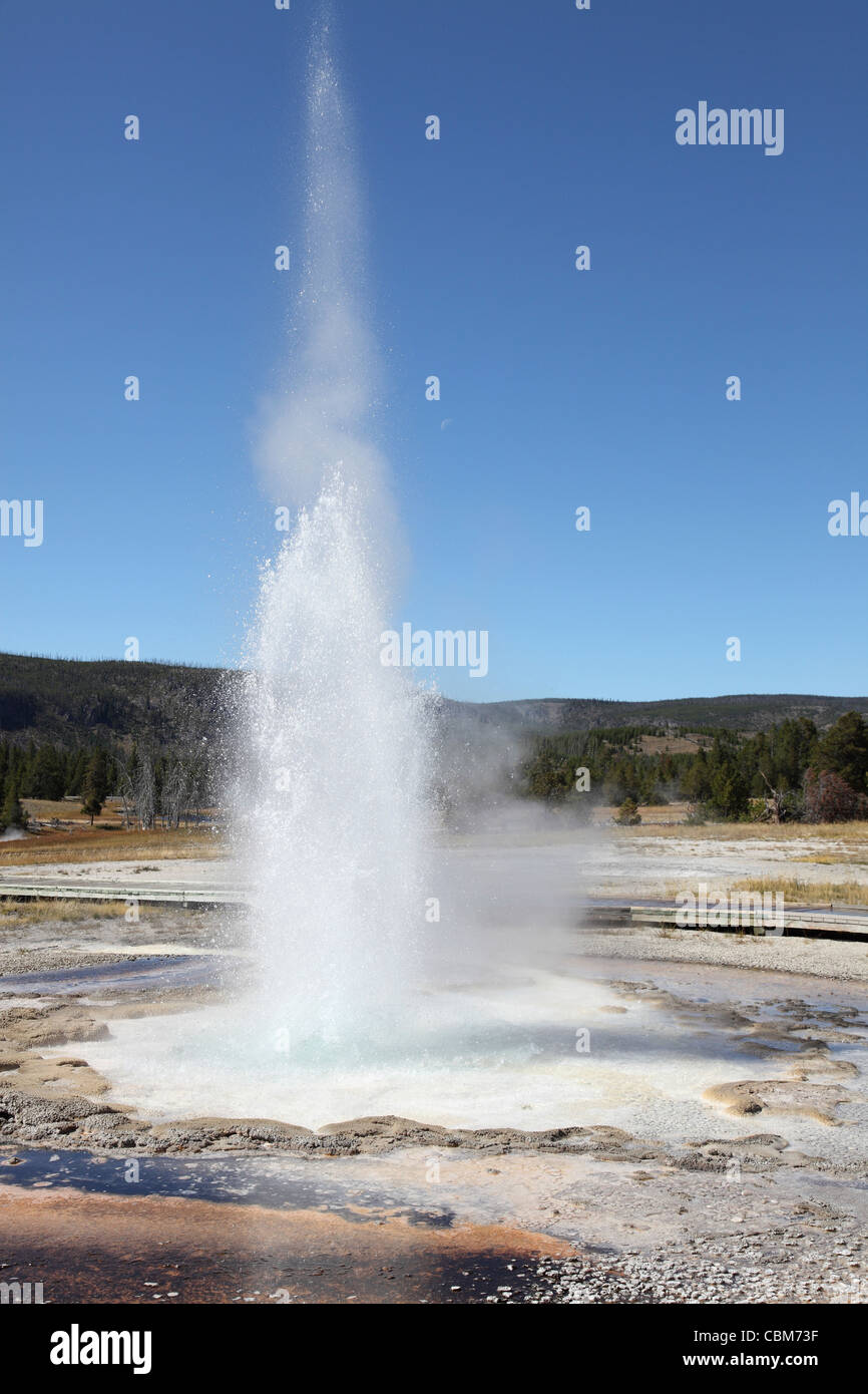 Sägewerk Geysir, geothermische Gebiet Upper Geyser Basin, Yellowstone Caldera, Yellowstone-Nationalpark, Wyoming. Stockfoto