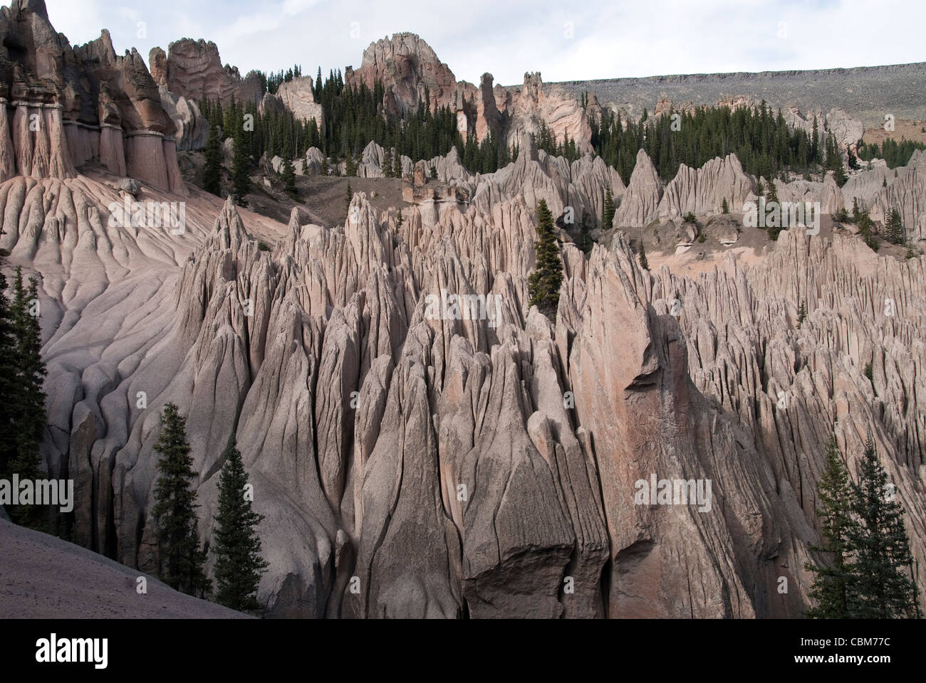 Wheeler geologische Gebiet La Garita Wildnis Colorado USA Stockfoto