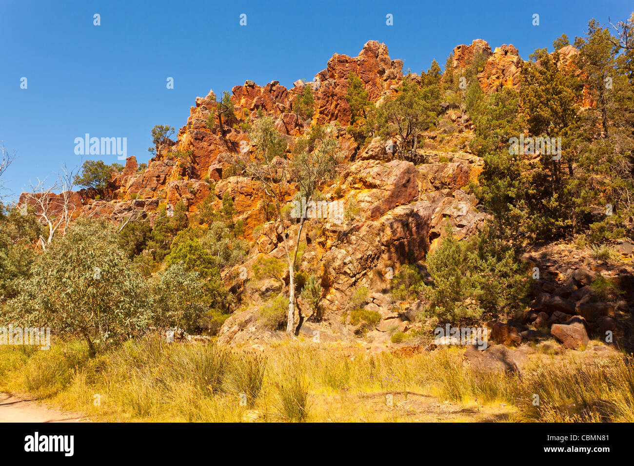 Bunte Klippen in Warren Schlucht in der Nähe von Loughborough in die Flinders Ranges im Outback South Australia, Australien Stockfoto