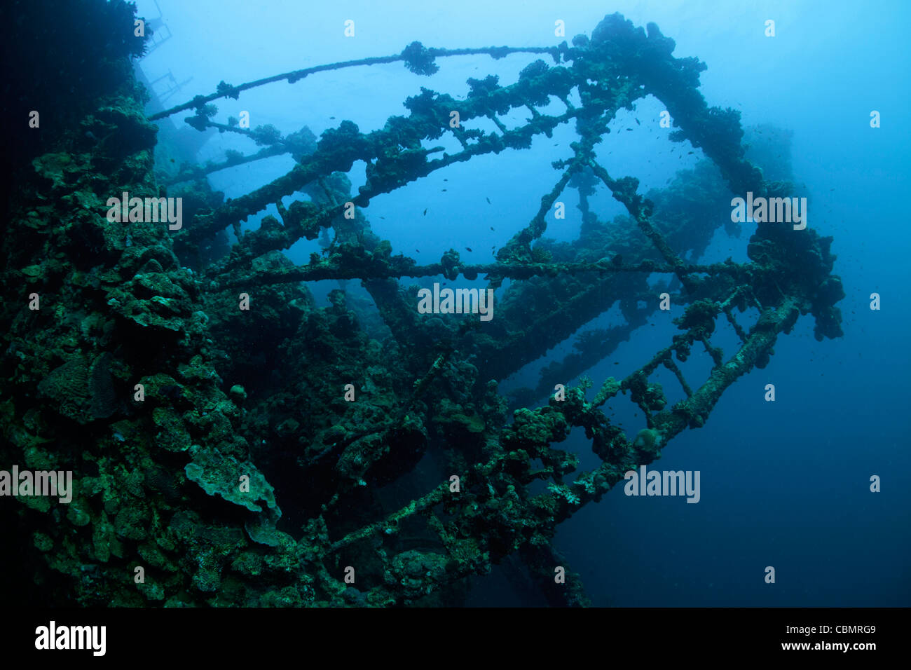 Strukturen von Umbria Wrack, Wingate Reef, Rotes Meer, Sudan Stockfoto