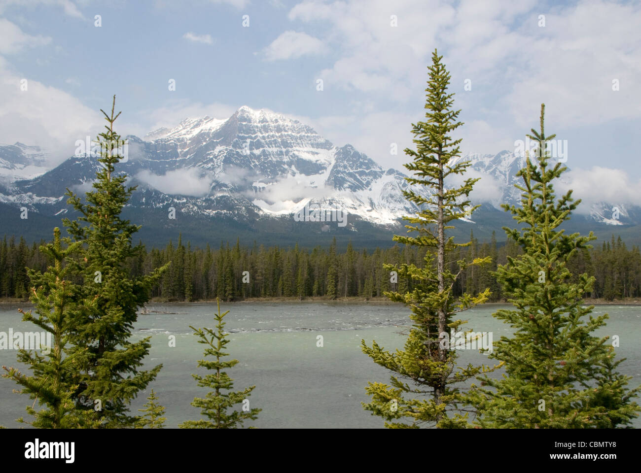 Berg und See, Icefields Parkway, Jasper, Alberta, Kanada Stockfoto