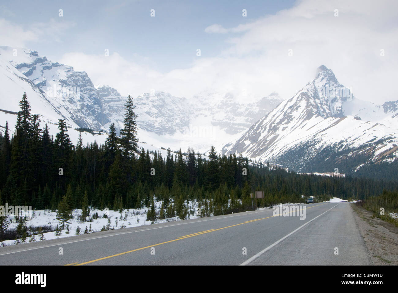 Rocky Mountains und Wald im Schnee, in der Nähe von Icefields Center, Icefields Parkway, Jasper, Alberta, Kanada Stockfoto