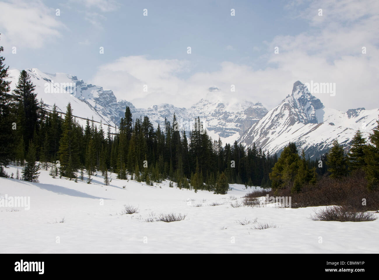 Rocky Mountains und Wald im Schnee, in der Nähe von Icefields Center, Icefields Parkway, Jasper, Alberta, Kanada Stockfoto