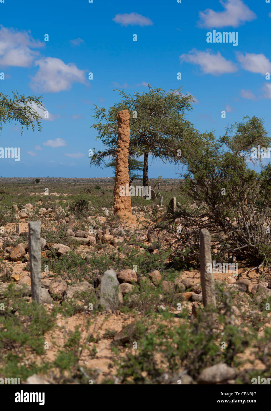 Ameisenhaufen Spalte und Gräber in der Nähe von Lasadacwo Dorf Somaliland Stockfoto