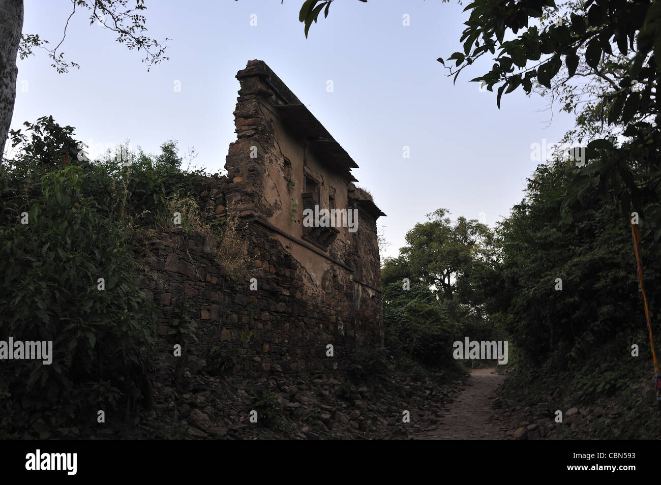 Eine Ruine in einem Dschungel in Indien im Ranthambhor Fort Indien Stockfoto