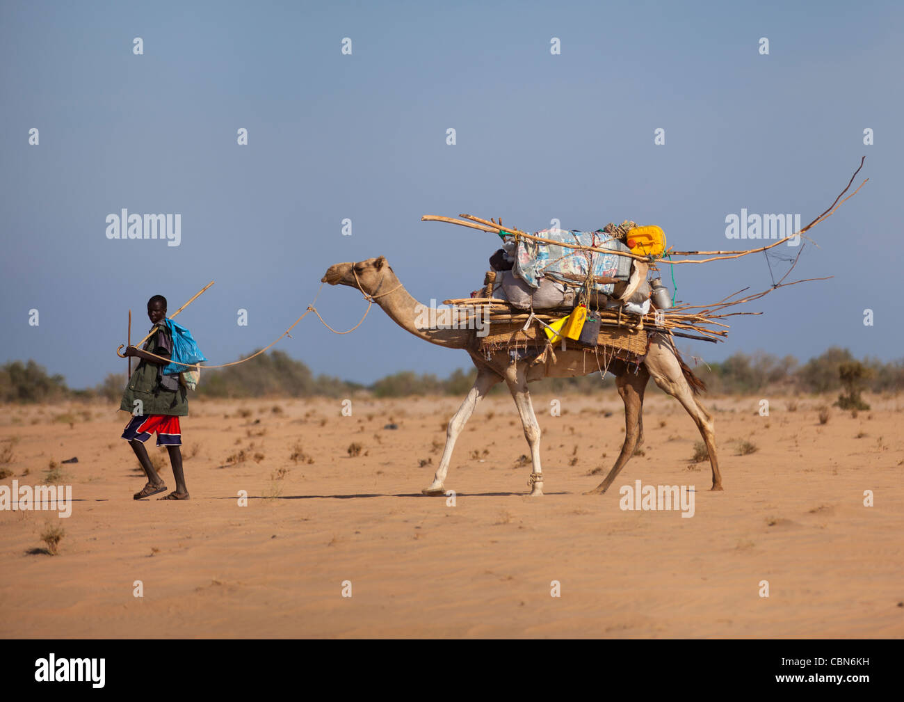 Menschen bewegen Aqal Soomaali somalischen Hütte auf der Rückseite des Camel In Wüste Somaliland Stockfoto