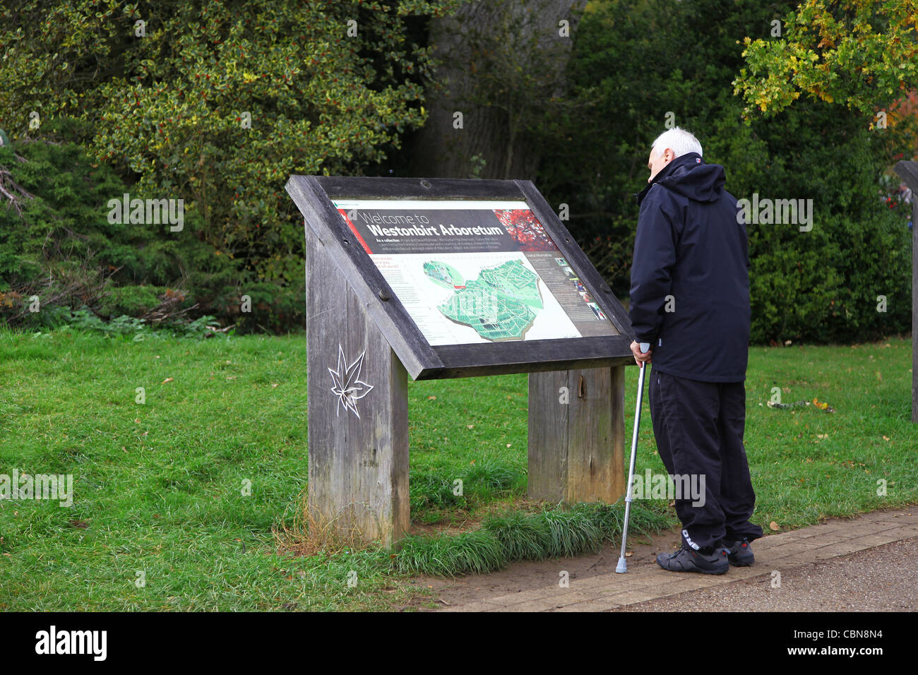 Ein älterer Mann mit einem Spazierstock, der eine Tafel im Westonburt Arboretum, Gloucestershire, England, Großbritannien, ansieht Stockfoto