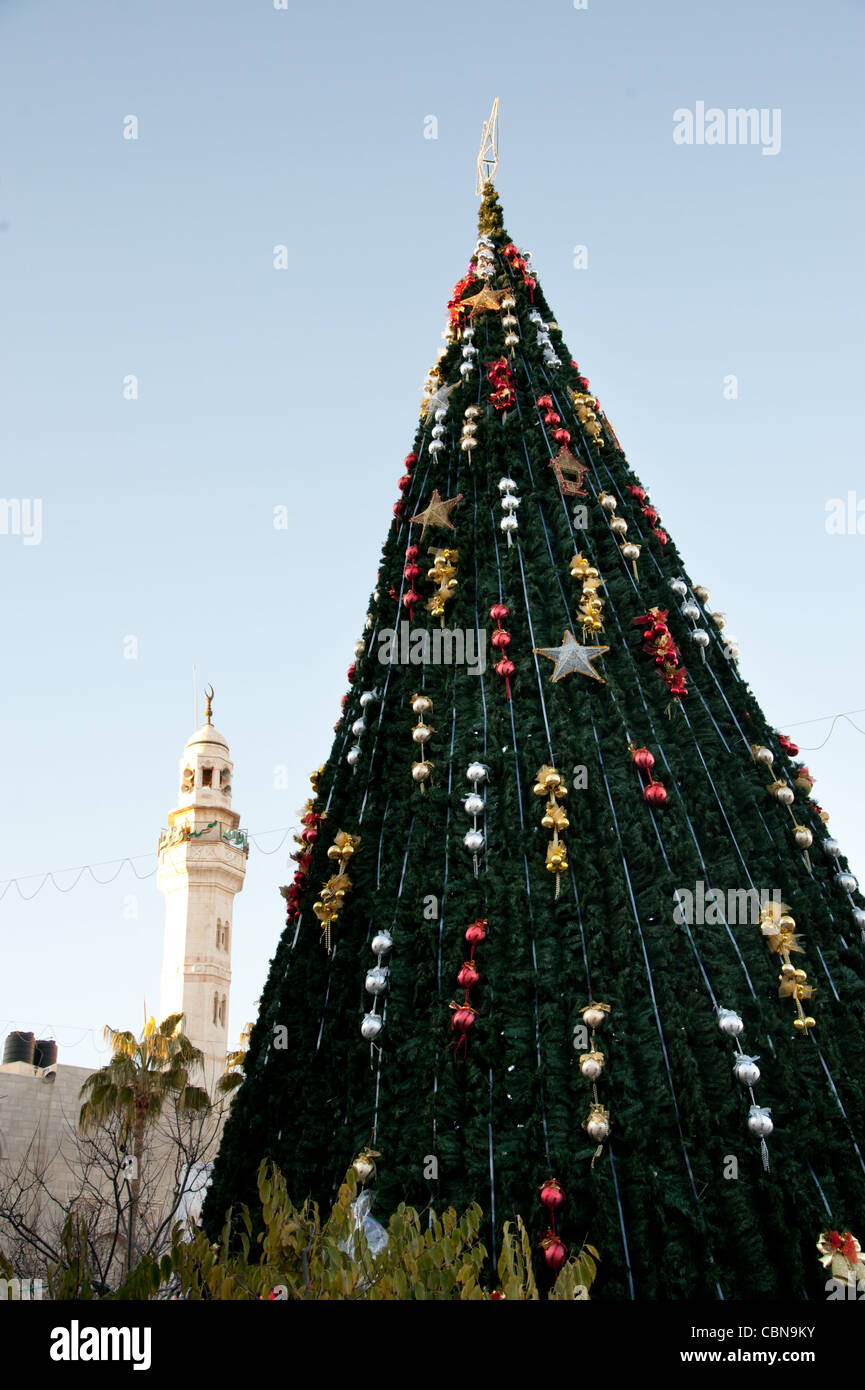 Ein Weihnachtsbaum thront über Krippenplatz und eine nahe gelegene Moschee in der West Bank von Bethlehem. Stockfoto