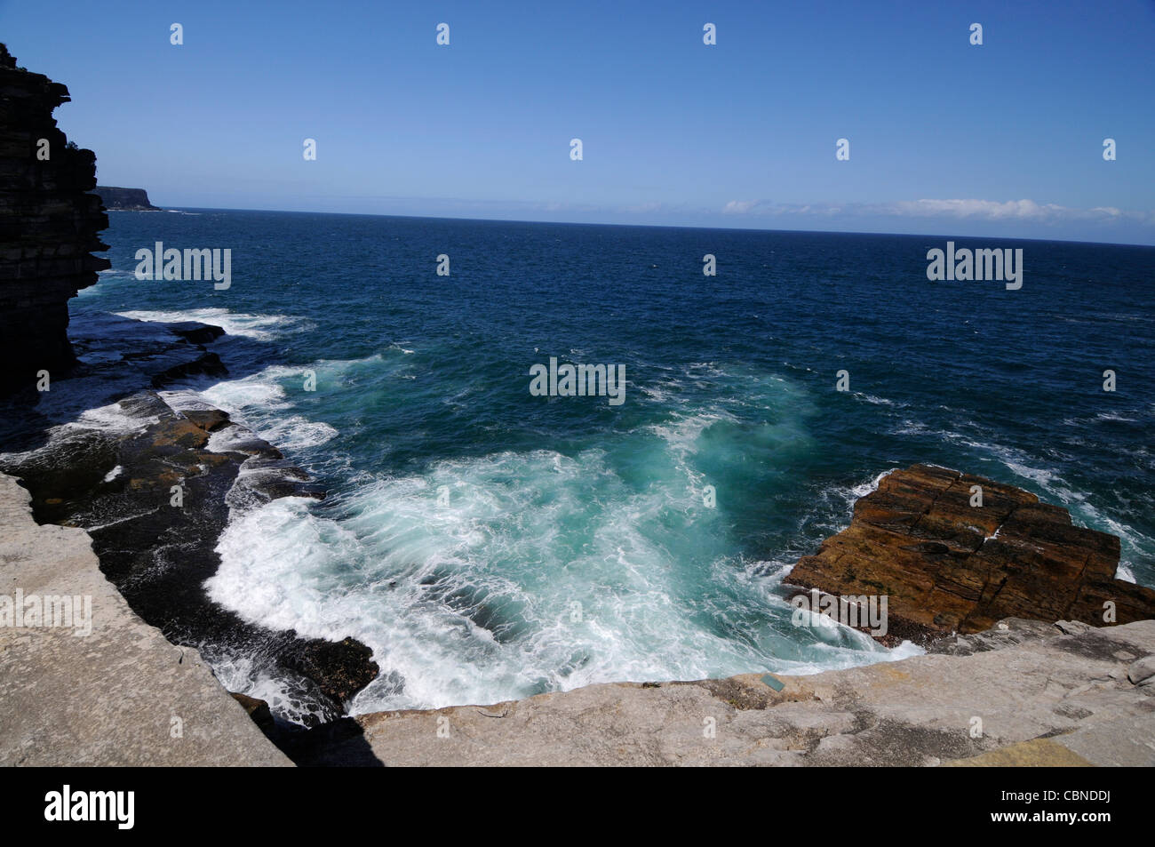 GAP Bluff in Watsons Bay im Hafen von Sydney. Die hohen Klippen sind Teil des Sydney National Park, New South Wales, Australien. Stockfoto