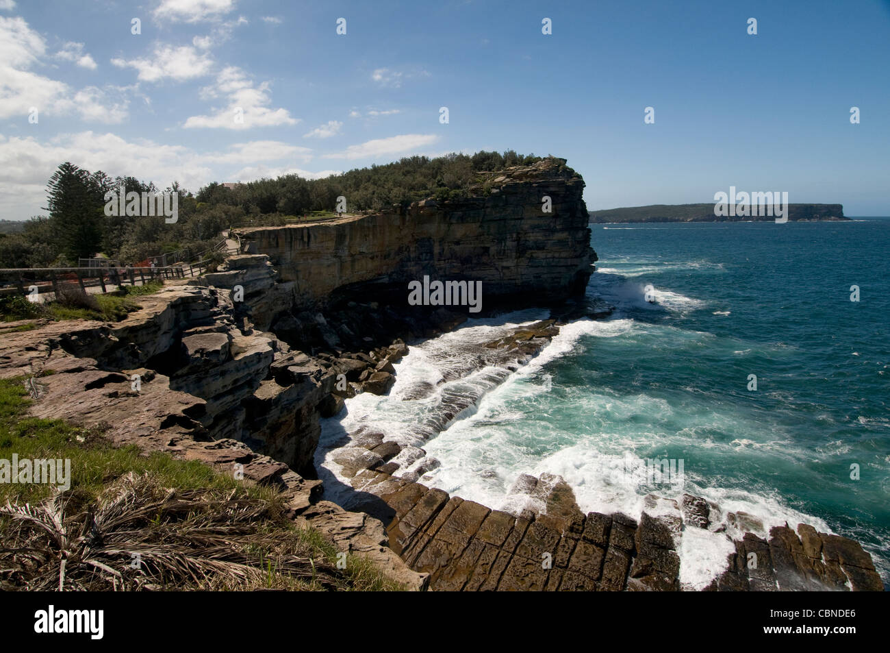 GAP Bluff in Watsons Bay in Sydney Habour. Die hohen Klippen sind Teil des Sydney National Park, New South Wales, Australien. Stockfoto