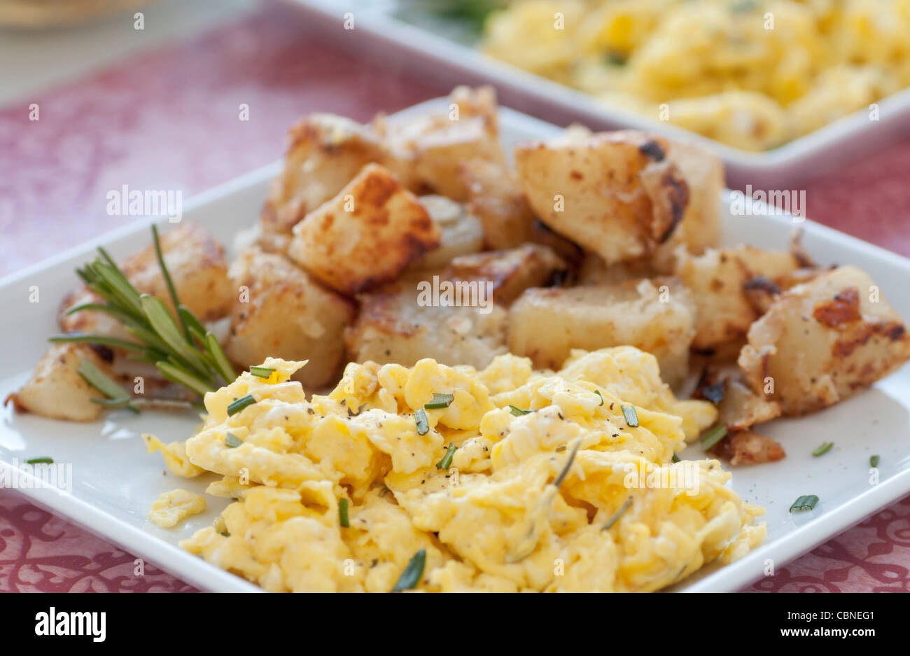 Rührei und Kartoffeln mit Rosmarin auf weißen Teller Stockfoto