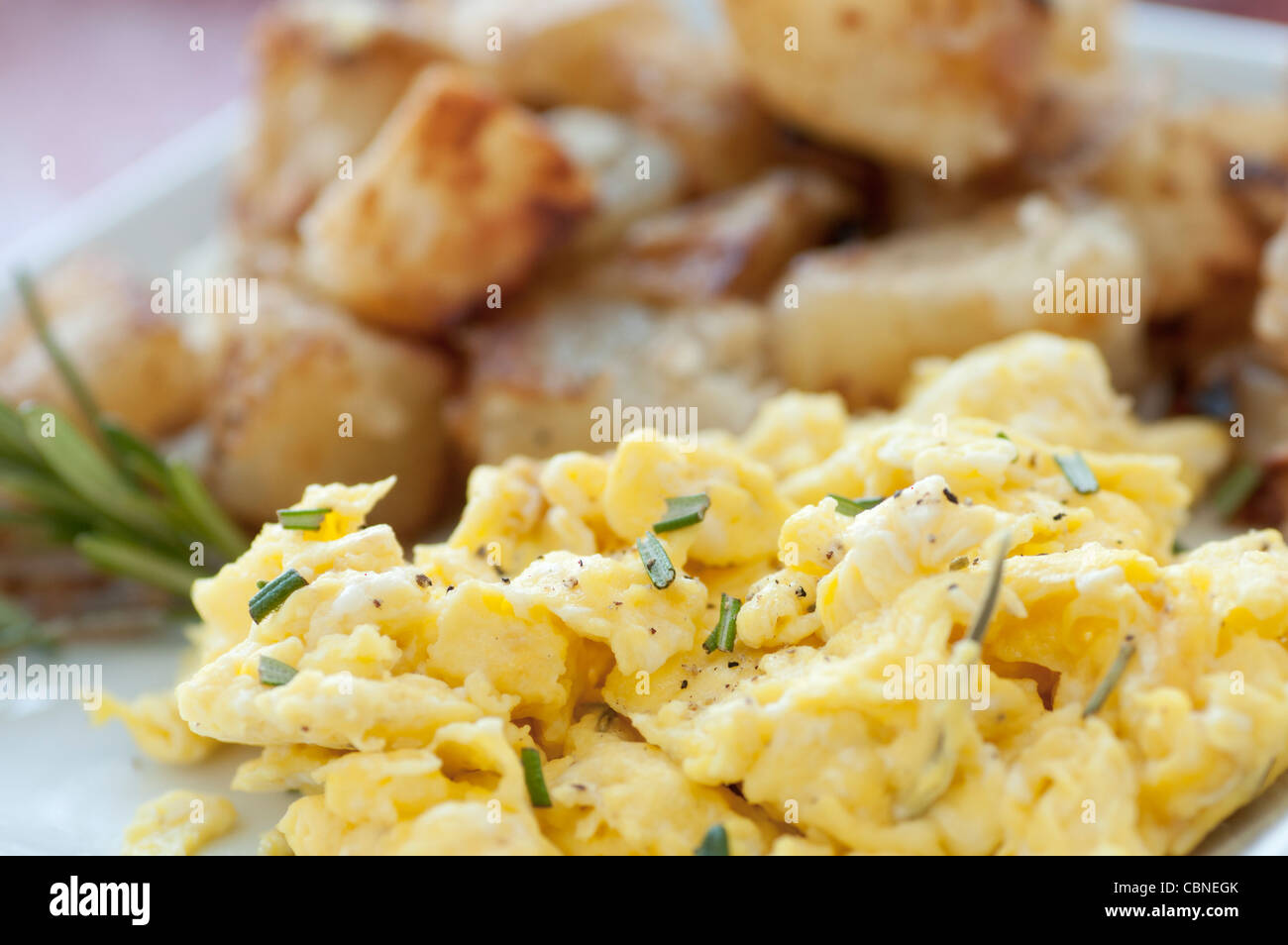 Rührei und Kartoffeln mit Rosmarin auf weißen Teller Stockfoto