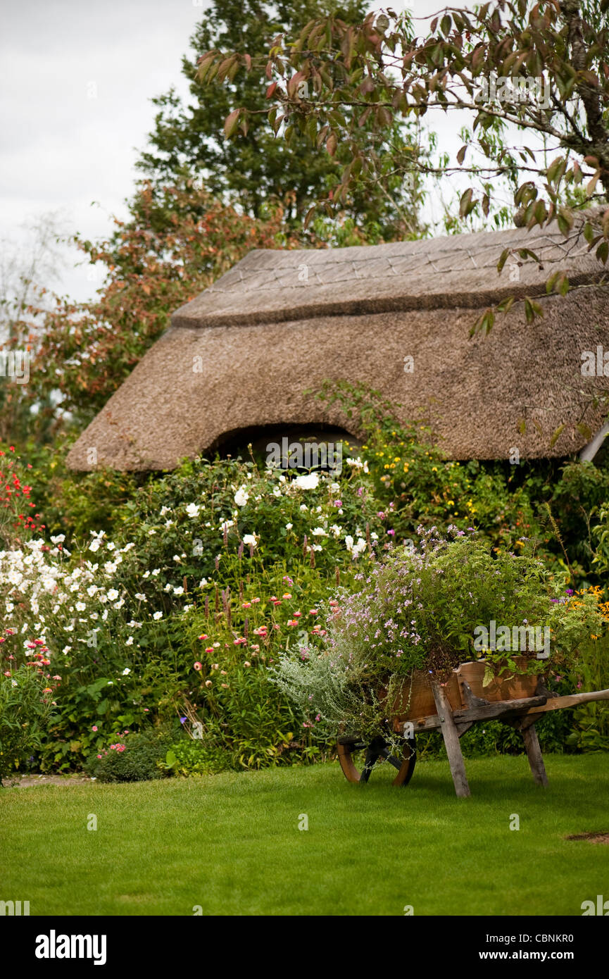 Der Cottage-Garten im September, RHS Rosemoor, Devon, England, Vereinigtes Königreich Stockfoto