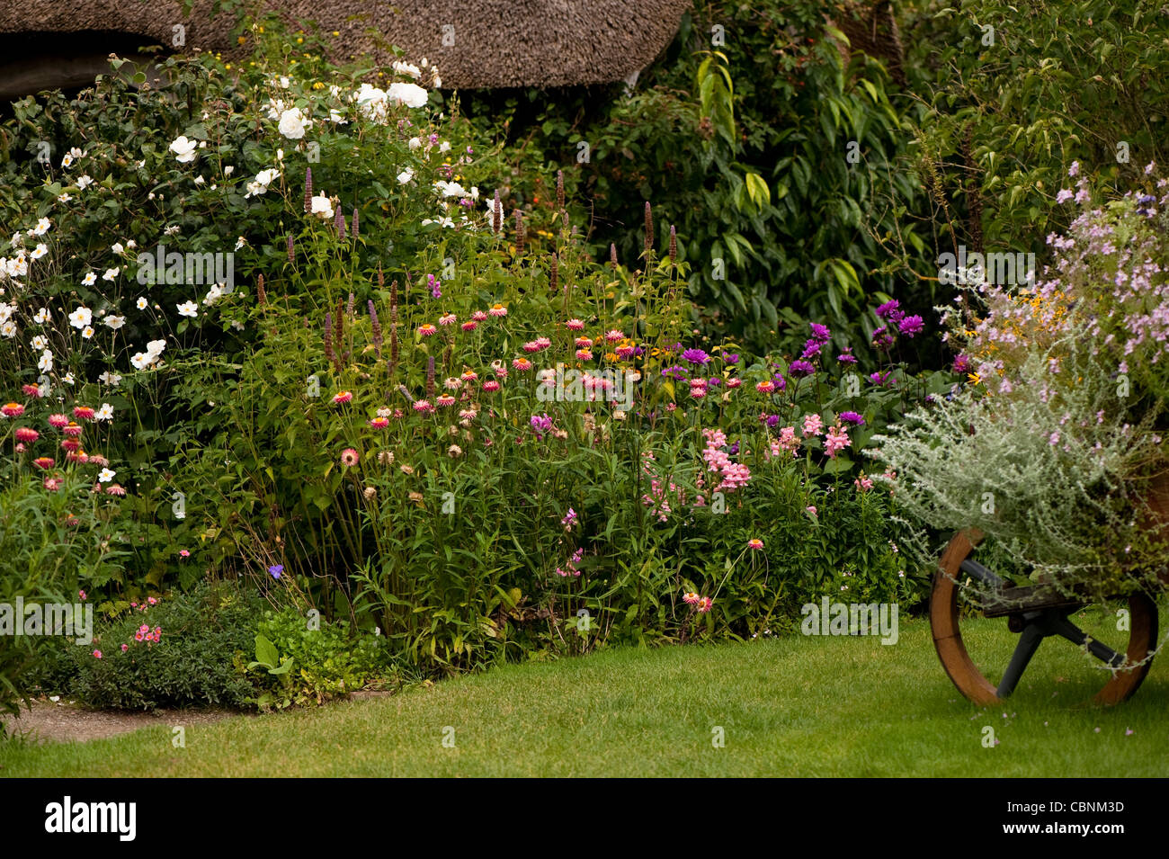 Der Cottage-Garten im September, RHS Rosemoor, Devon, England, Vereinigtes Königreich Stockfoto