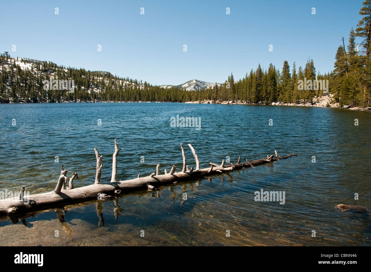 Scenic, Tenaya Lake, Yosemite-Nationalpark, Kalifornien, USA. Foto Copyright Lee Foster. Foto # california120879 Stockfoto