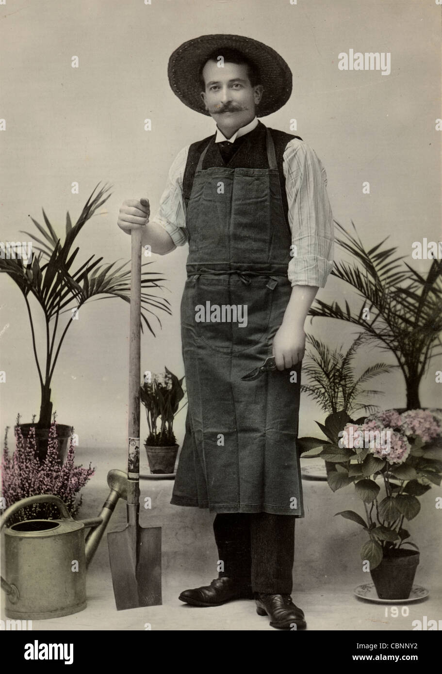 Gärtner zeigt stolz Array von Pflanzen Stockfotografie Alamy