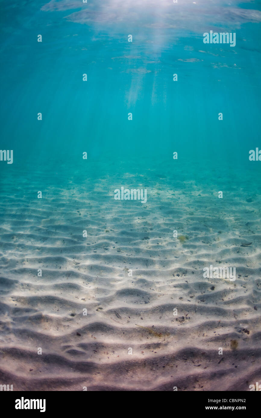 Sandy Meeresboden in der Karibik Stockfoto