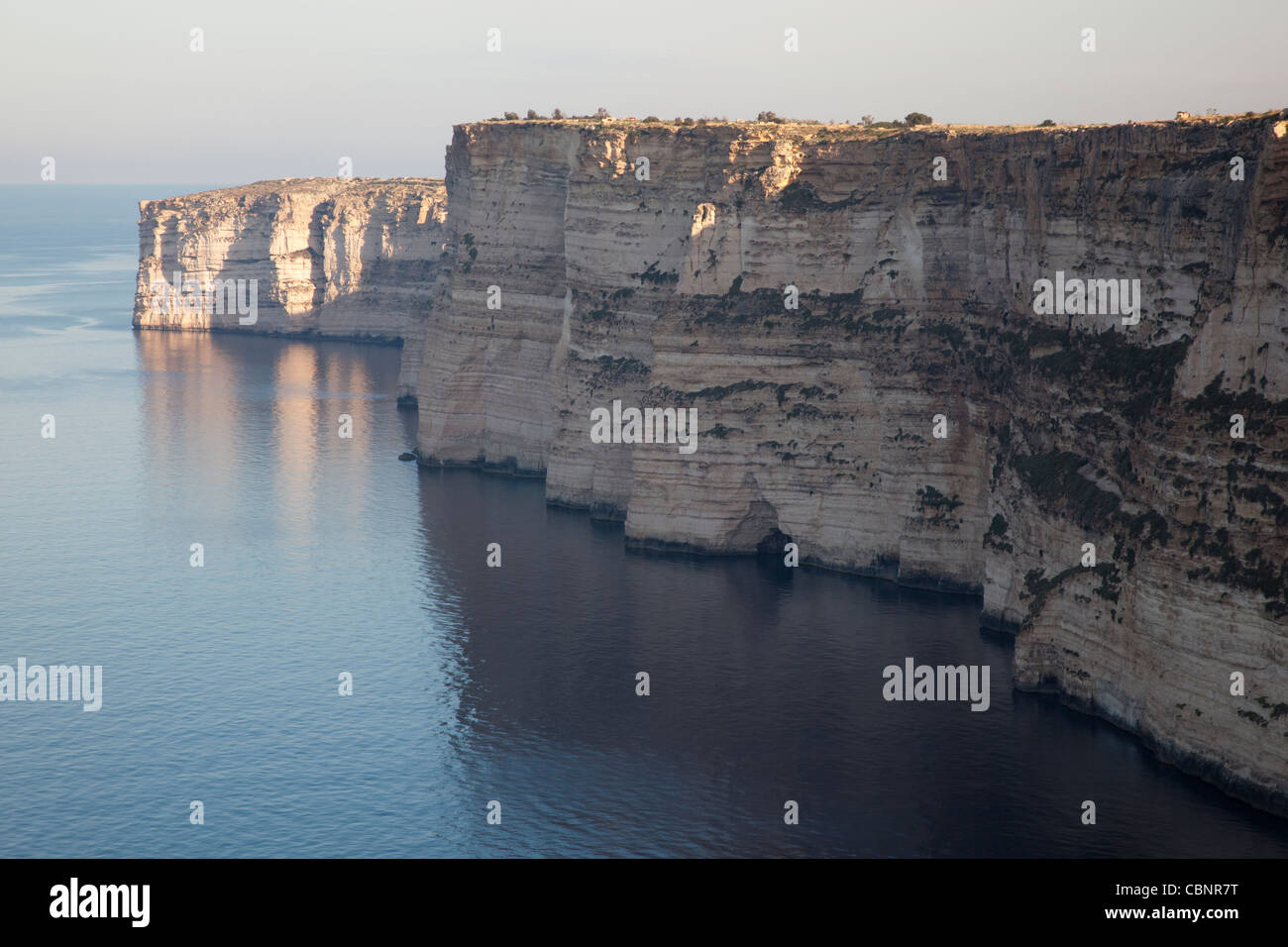 Die Seacliff bei Ta Cenc in Gozo fällt dramatisch in die Tiefsee in eine dramatische klare Scherung, die 100 Meter tief ist. Stockfoto