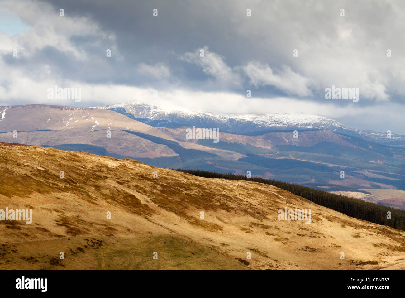 Eine Ansicht des Cadair Idris von Künstlern Tal/Cwm Einion in der Nähe von Machynlleth Stockfoto