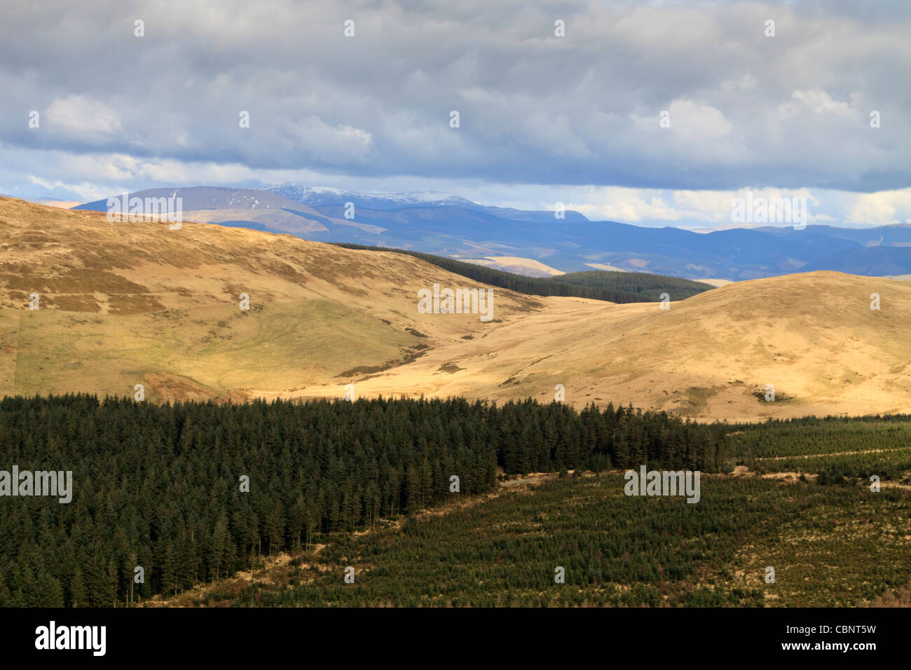 Eine Ansicht des Cadair Idris von Künstlern Tal/Cwm Einion in der Nähe von Machynlleth Stockfoto