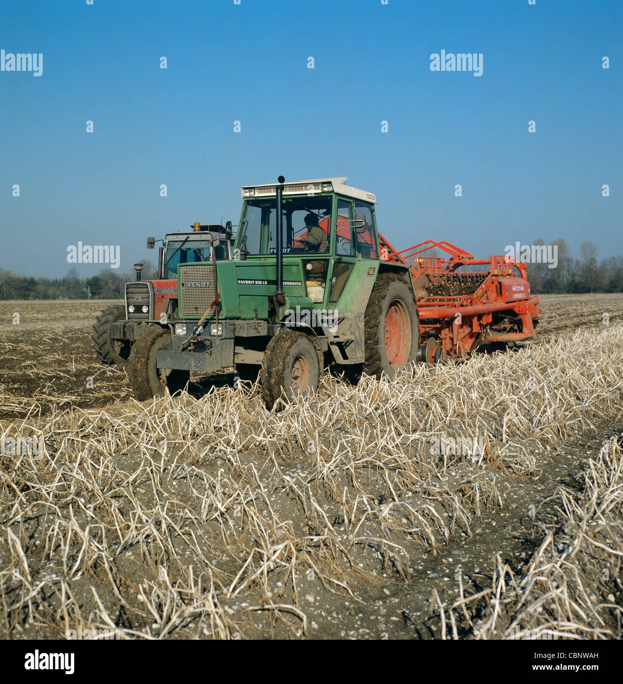 Fendt Traktor Ernte getrockneten Kartoffelernte Stockfoto