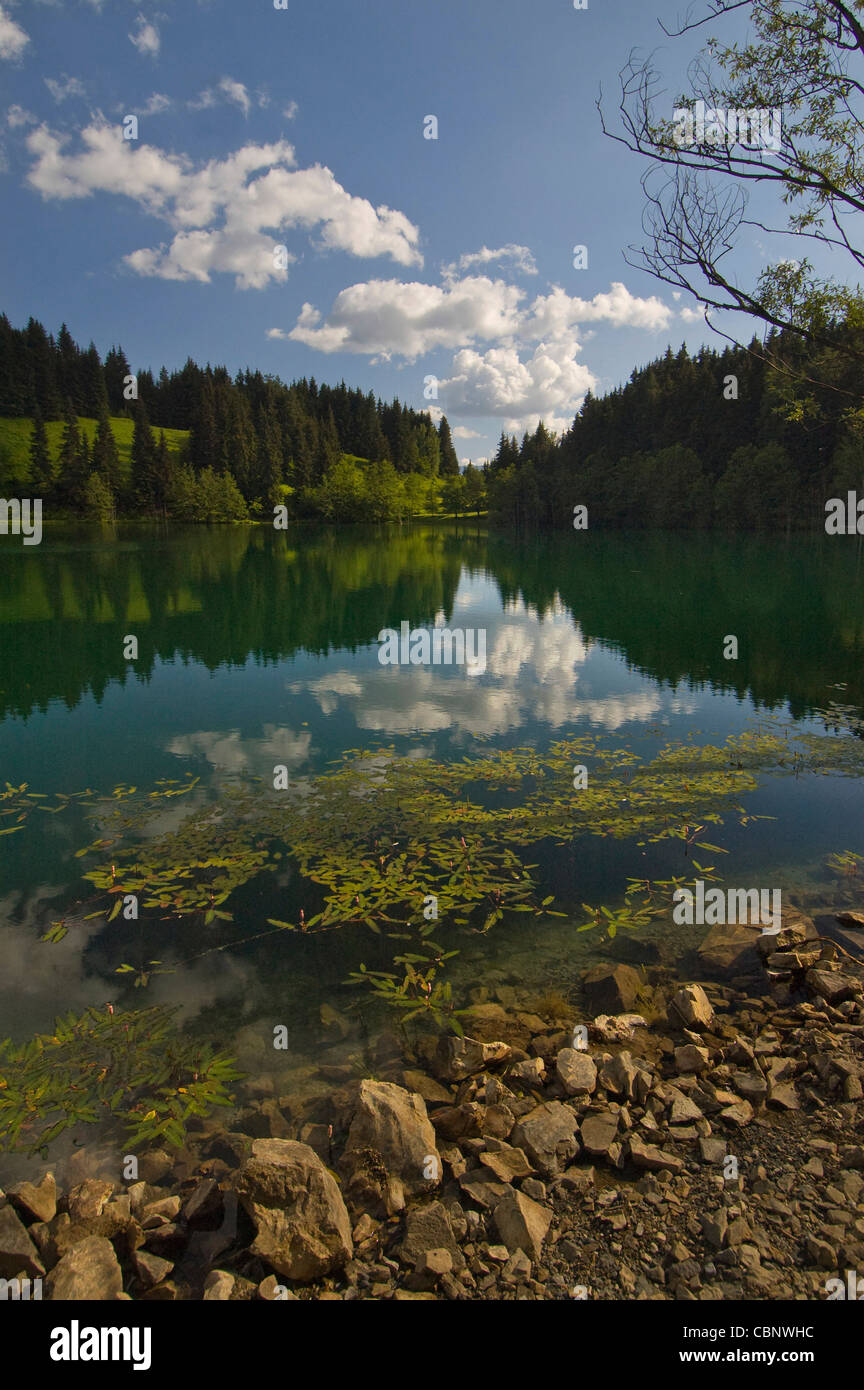 Karagol Lake Nationalpark in The kristalklaren Region, Artvin, Türkei Stockfoto