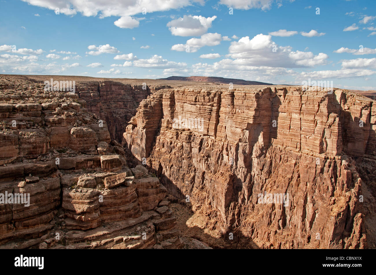 Cameron Cliffs ,Mountain Arizona, Usa Stockfoto