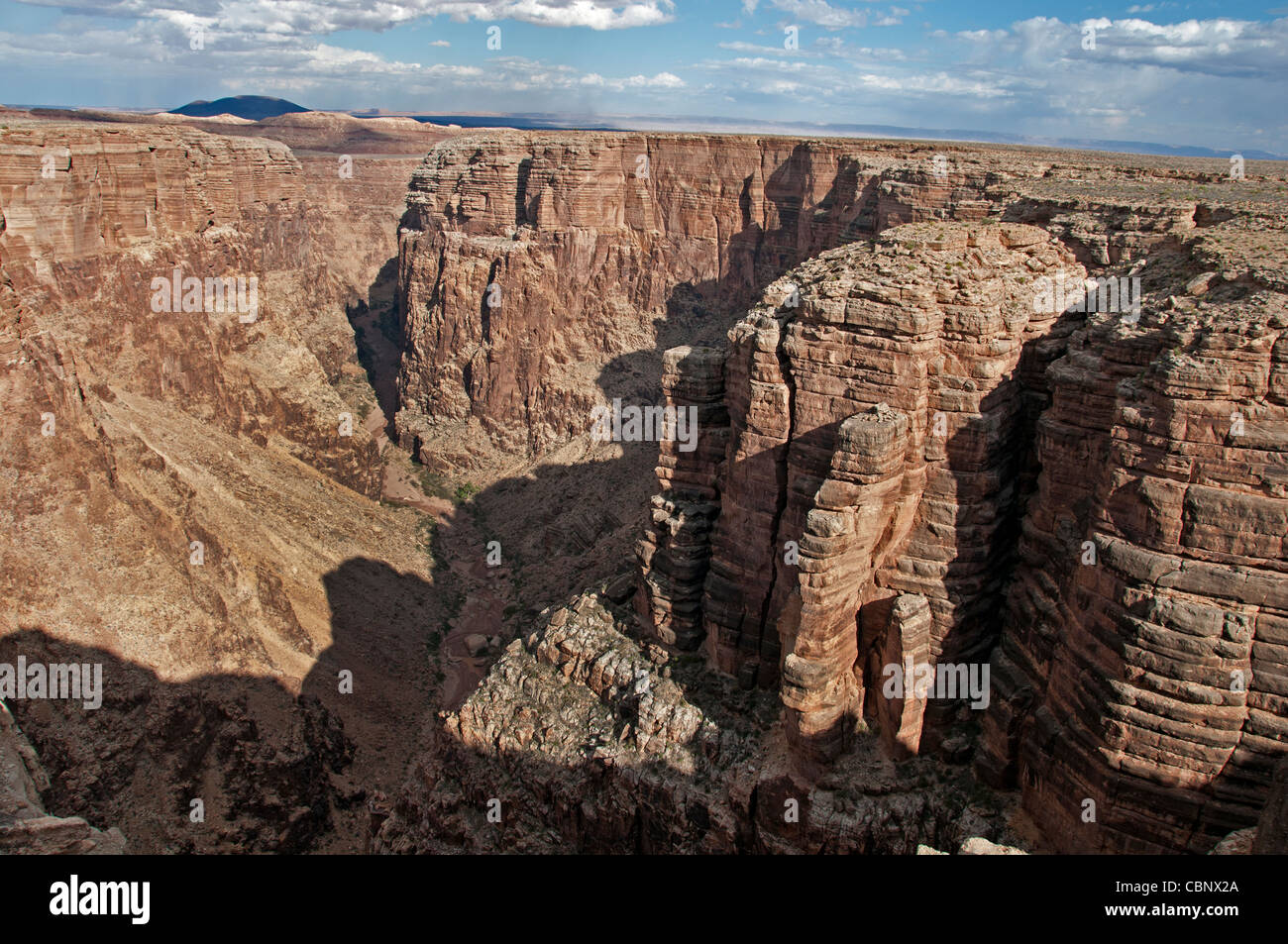 Cameron Cliffs ,Mountain Arizona, Usa Stockfoto
