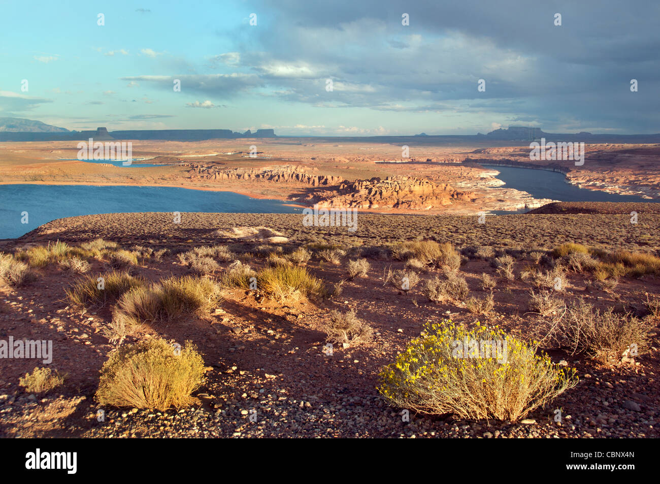 Wüste Utah, Sandsteinformationen, Lake Powell , Glenn Canyon Stockfoto