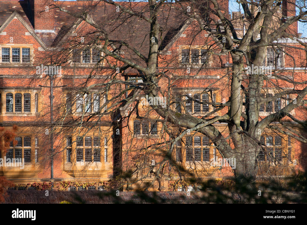 Cambridge College, Großbritannien Stockfoto