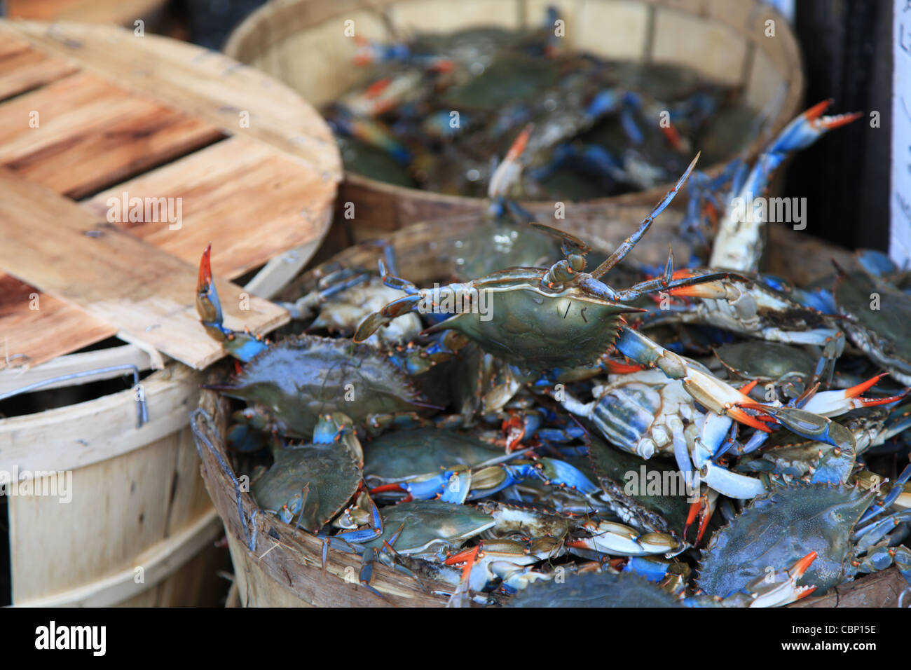 Krabben auf dem Markt Stockfoto
