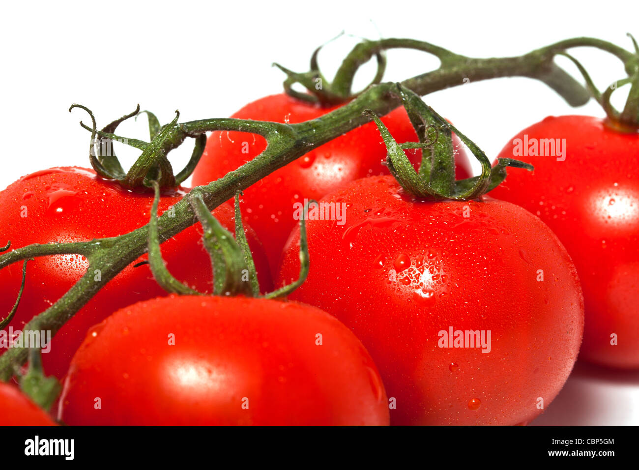 Details der Cherry-Tomate-Filiale auf weißem Hintergrund Stockfoto