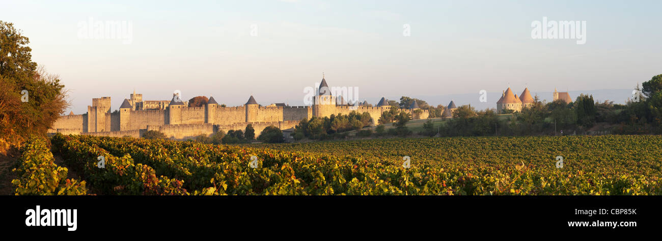 Panorama von der befestigten Stadt Carcassonne, über Weinberge in den frühen Morgenstunden zu sehen. Stockfoto