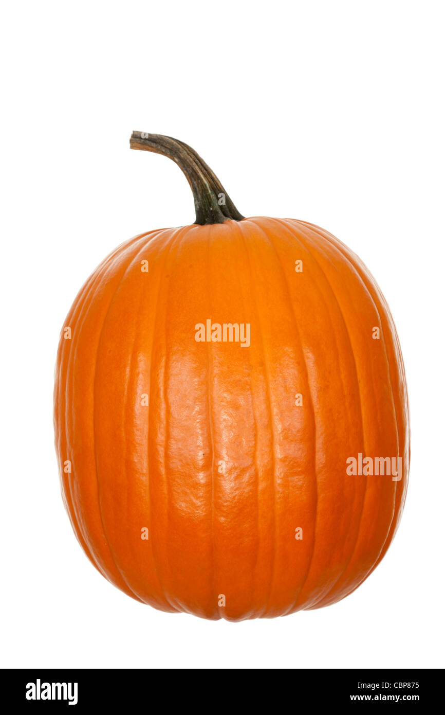 groß, ganze und orange Kürbis auf weißem Hintergrund Stockfoto