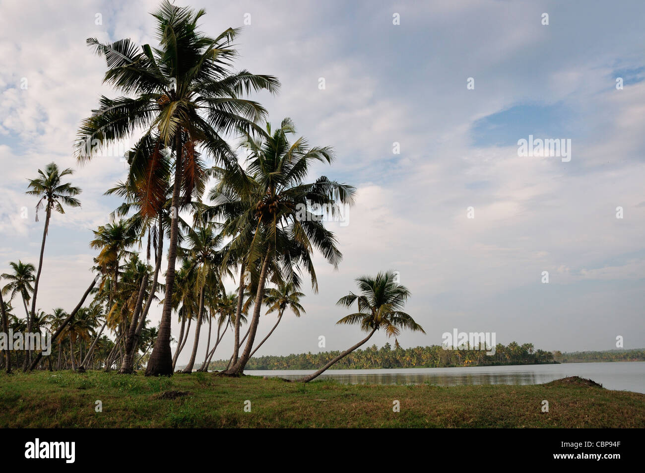 Kerala-Art-Szene Stockfoto