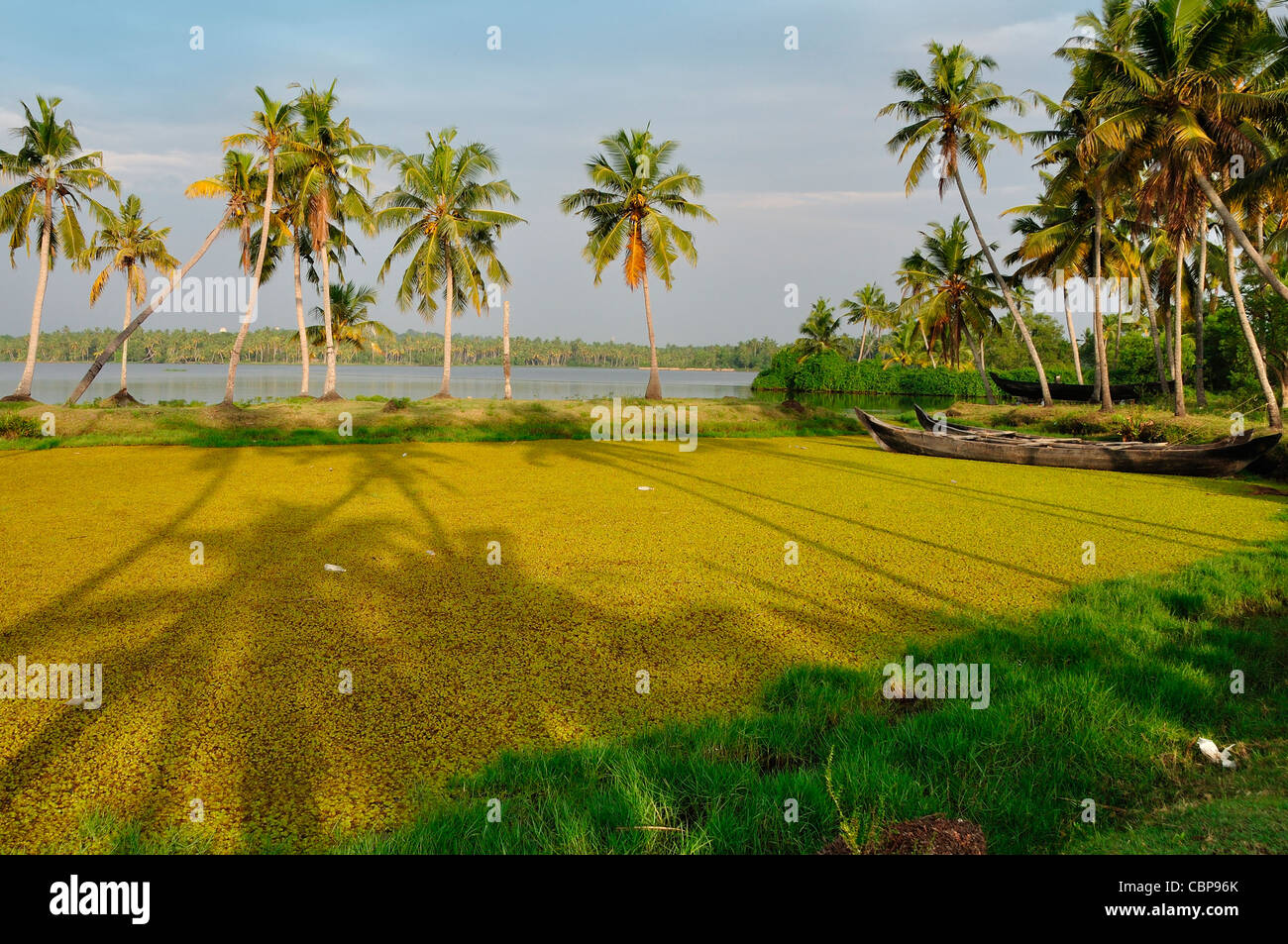 Kerala Scene lake Stockfoto