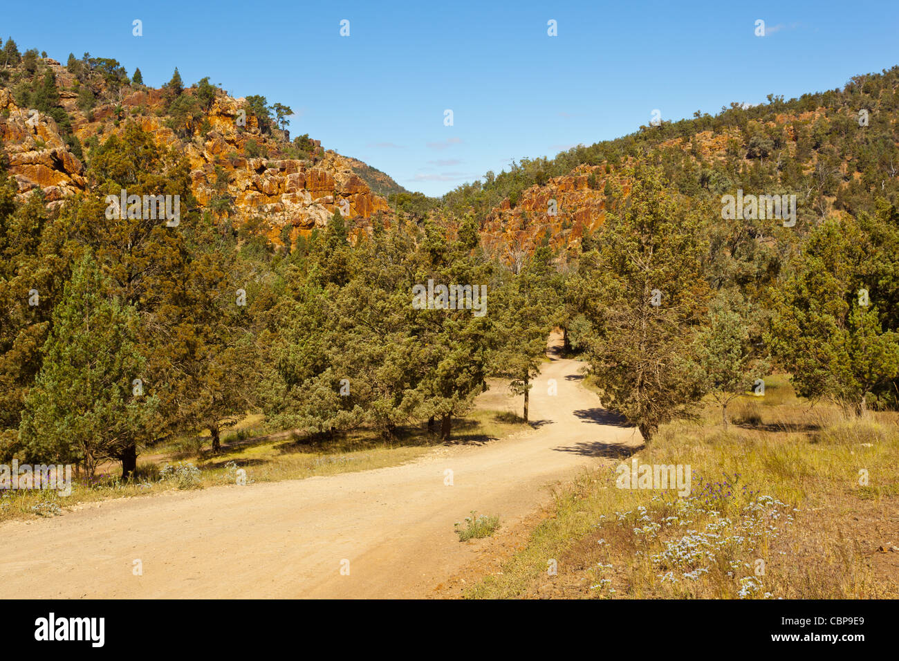 Schroffe Klippen inWarren Schlucht in der Nähe von Loughborough in die Flinders Ranges im Outback South Australia, Australien Stockfoto