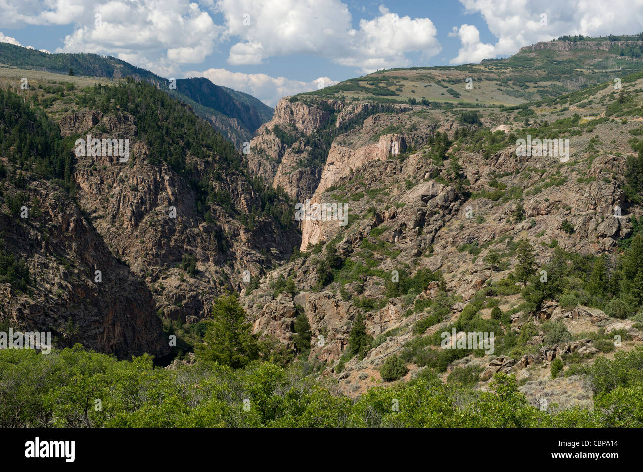 Der Gunnison River Canyon in Colorado. Dies ist ein paar Meilen flussaufwärts von Black Canyon. Stockfoto