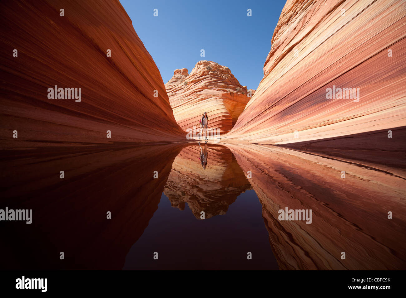 The Wave, Paria Canyon-Vermilion Cliffs Wilderness Stockfoto