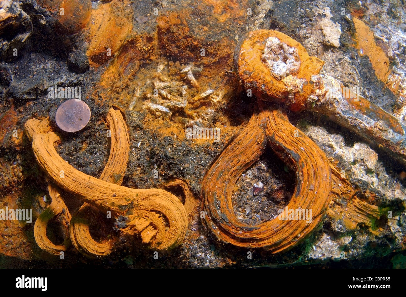 Segelschiff des XIX. Jahrhunderts, Insel Zmeiny (Schlange), Schwarzes Meer, Ukraine, Osteuropa Stockfoto