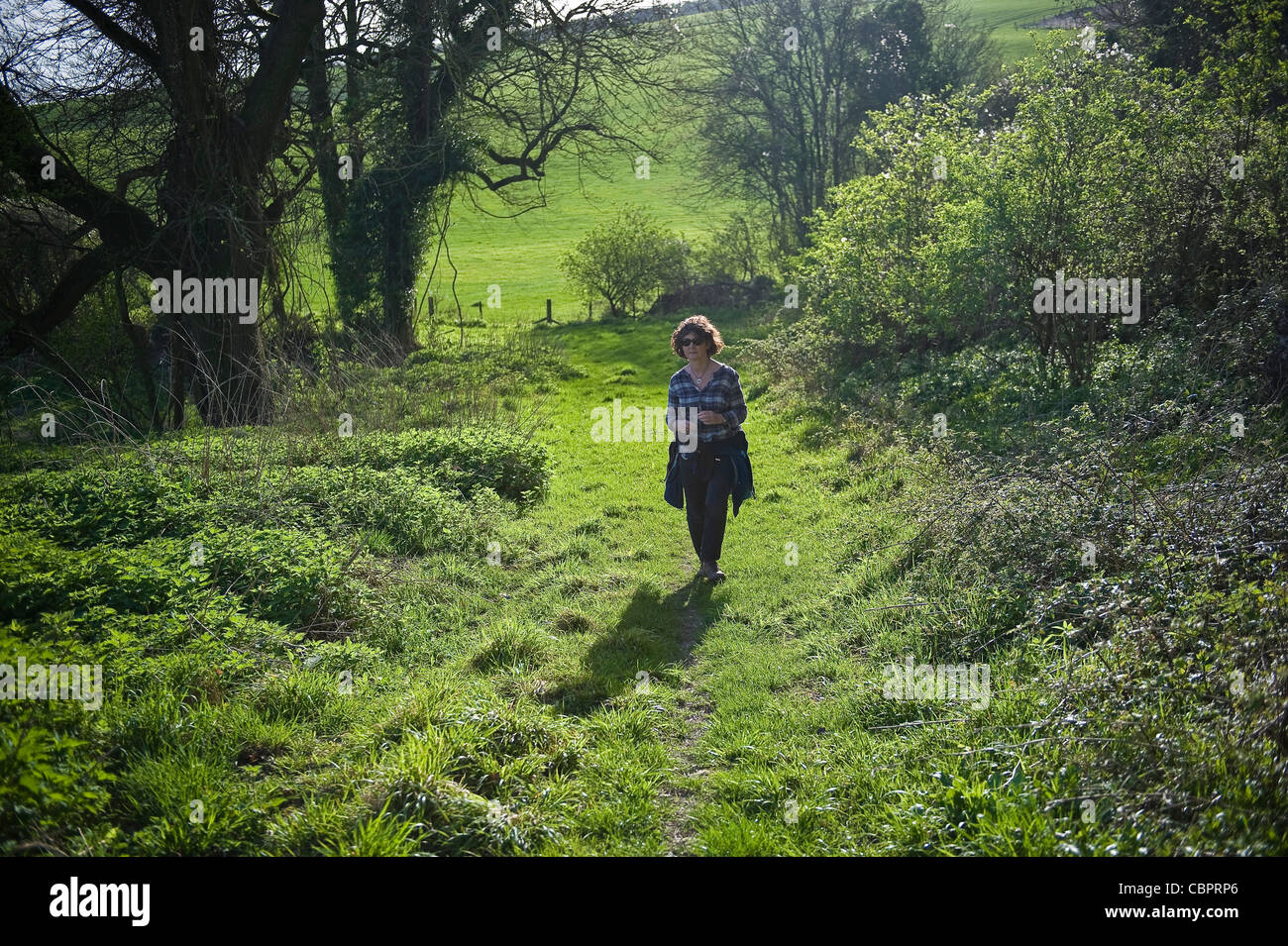 Frau zu Fuß entlang einer Strecke, auf der South Downs, West Sussex, UK Stockfoto