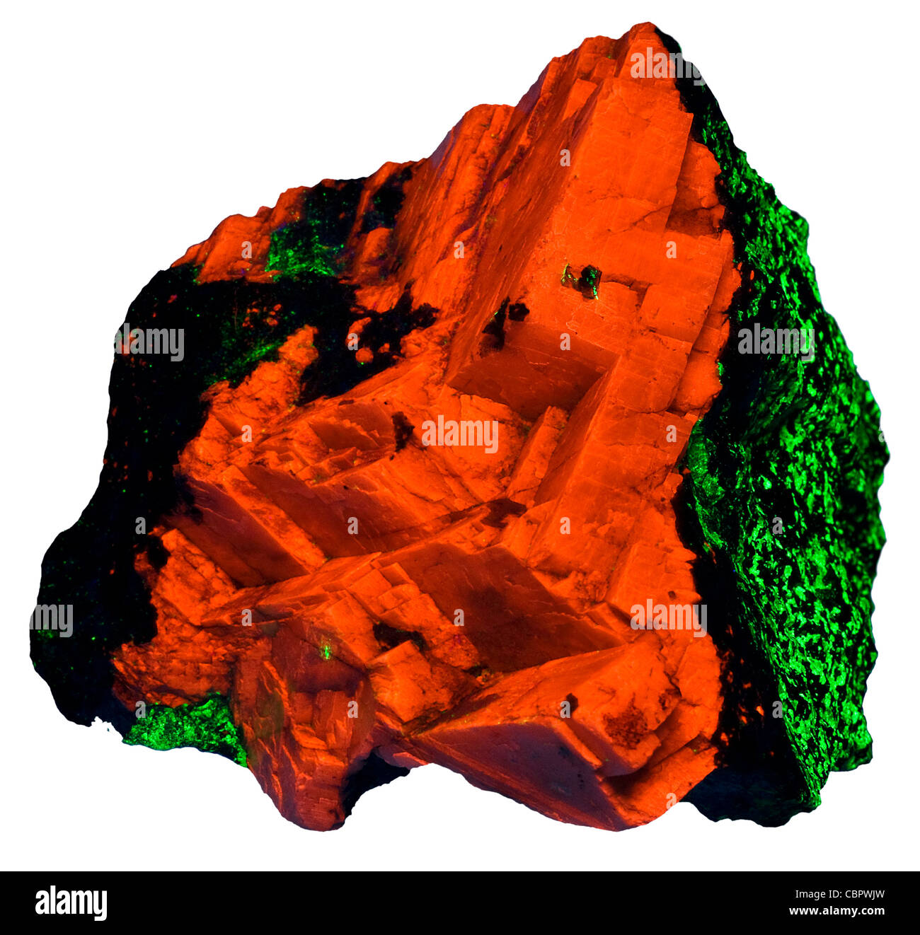 Calcit & Willemite in UV-Licht, Buchweizen Dump, Franklin, New Jersey Stockfoto