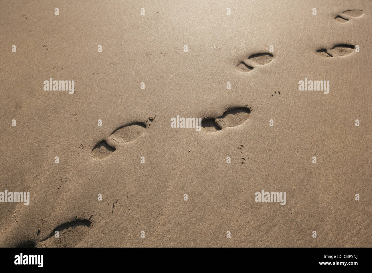 Fussspuren im Sand Stockfoto