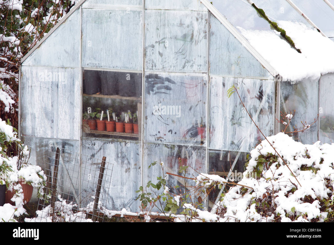 Ein Gewächshaus im Winter, Schottland, UK Stockfoto